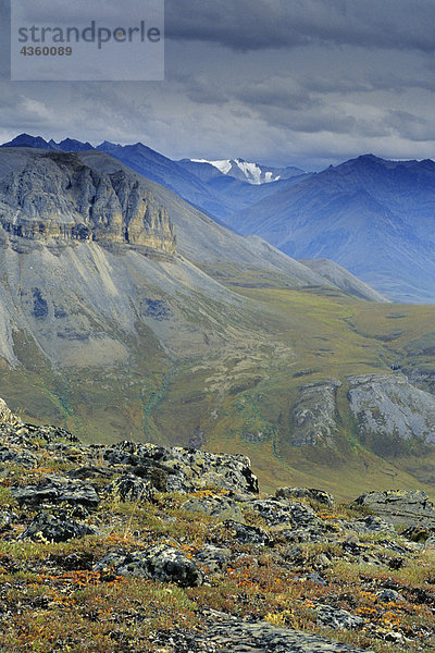 Tundra in der Nähe von Atigun Pass Phillip Smith CT AR AK Herbst Brookskette