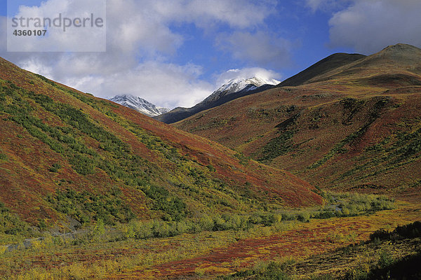 Herbst Tundra entlang Kuyuktuvuk Fluss AR Alaska Toren der Arktis NP w/schneebedeckten Oolah Pass/n