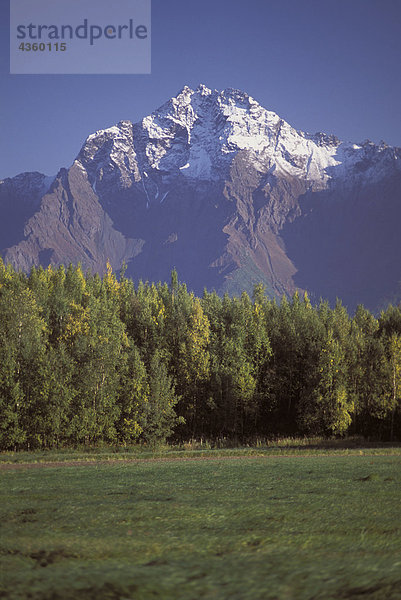 Pioneer Peak Stand über Ackerland in der Nähe von Palmer SC AK Herbst