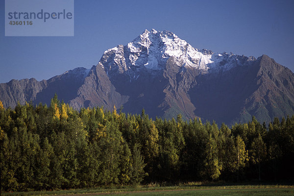 Pioneer Peak Stand über Ackerland in der Nähe von Palmer SC AK Herbst