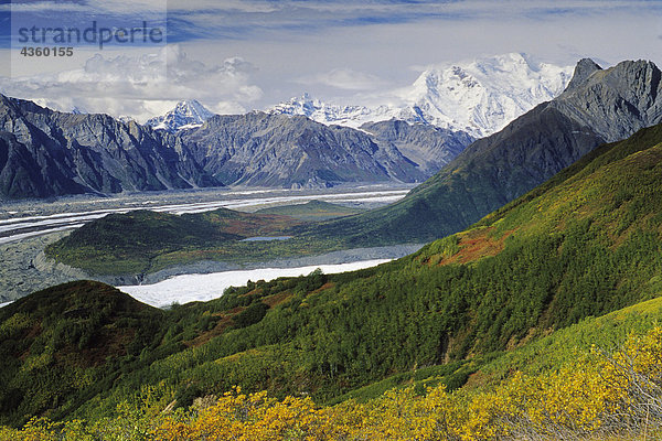 Mit Blick auf Kennicott Gletscher SC Alaska Herbst Mt Blackburn Wrangell-Saint Elias NP Laub