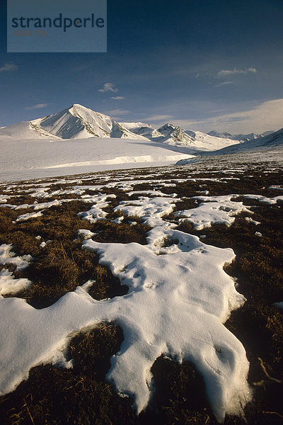 Schneeschmelze auf Tundra Gates von der arktischen NP AR AK Frühjahr/n