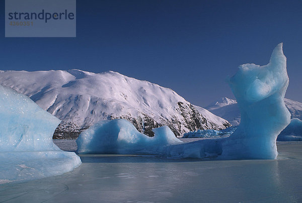 Eisberg auf gefrorenen See w / w/out paar Winter SC AK
