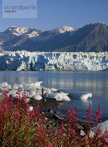 Hubbard-Gletscher SE Alaska