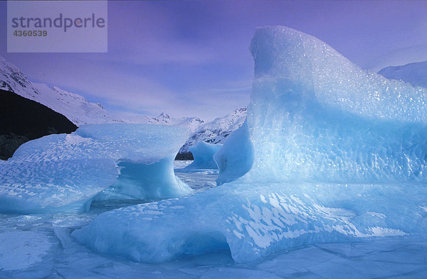 Eisberge in Portage Lake Portage-Gletscher Winter AK South Central