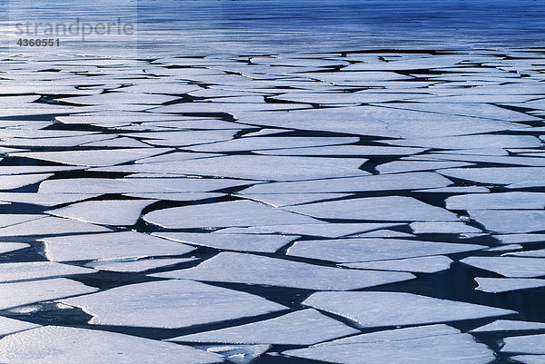 Winter Eis Schicht auf Portage Lake w/Frühjahr aufbrechen Auftauen South Central Alaska Portage Tal