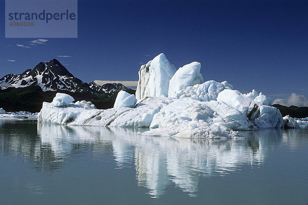 Eisberge in der Alsek See @ Glacier-Bay NP SE Alaska Sommer Scenic
