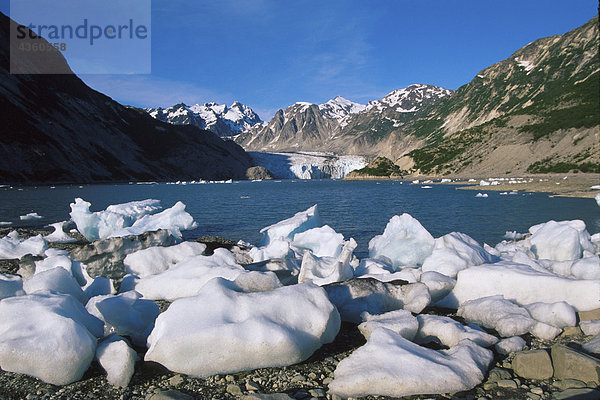 McBride Gletscher Glacier Bay @ NP SE Alaska Sommer Scenic