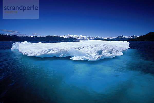 Eisberge von Columbia-Gletscher PWS Alaska Sommer