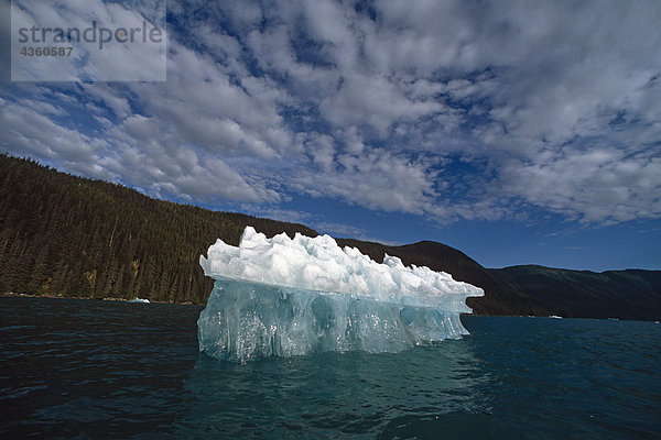 Eisberge schwebend in Tracy Arm SE Alaska Sommer