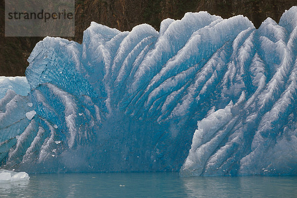 Iceberg in Tracy Arm SE Alaska Sommer