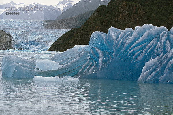 Iceberg in Tracy Arm w/Süd Sawyer Gletscher AK SE Sommer