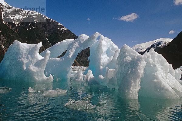 Eisberg Landschaftlich schön landschaftlich reizvoll Grauen Tracy Arm-Fords Terror