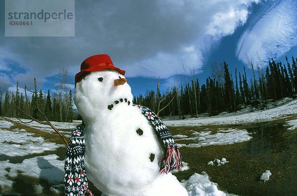 Schmelzenden Schneemann im Frühjahr Zeit South Central Alaska
