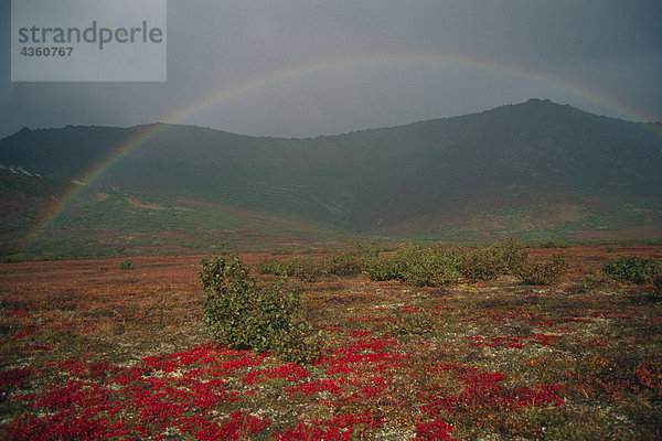 Regenbogen Over Kobuk River Valley NPR AR Alaska Herbst Brooks reichen