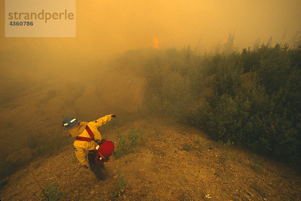 DOF Mitarbeiter ' 97 Simels Feuer Innoko Natl Wildlife Refuge Interior AK Sommer scenic