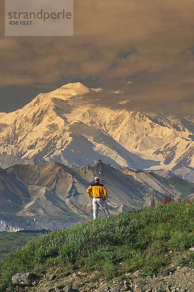 Man wandern auf Tundra w/Mt McKinley Denali NP im AK Sommer