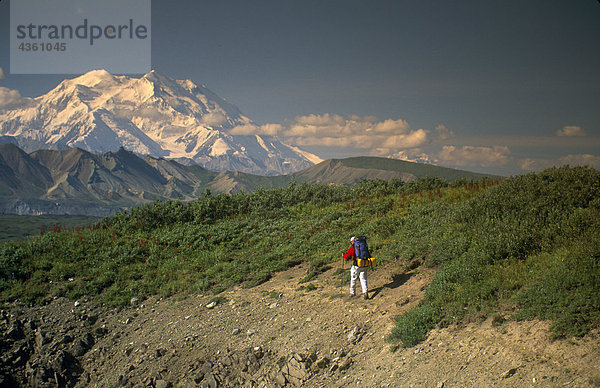 Man wandern auf Tundra w/Mt McKinley Denali NP im AK Sommer