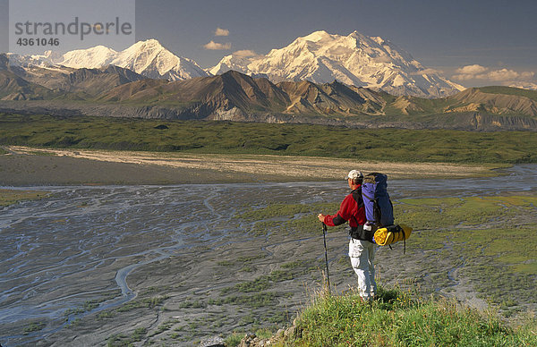 Man wandern auf Tundra w/Mt McKinley Denali NP im AK Sommer