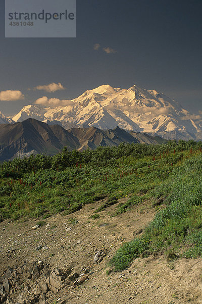 Man wandern auf Tundra w/Mt McKinley Denali NP im AK Sommer