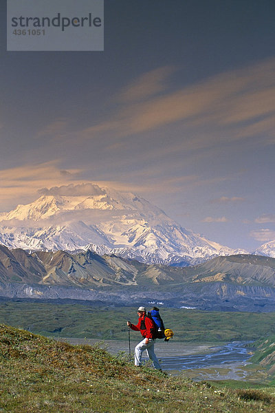 Man wandern auf Tundra w/Mt McKinley Denali NP im AK Sommer