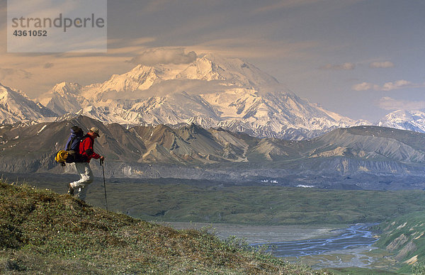 Man wandern auf Tundra w/Mt McKinley Denali NP im AK Sommer