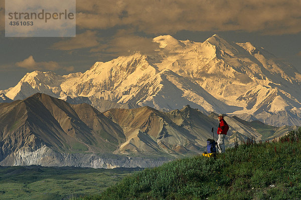 Mann im Hintergrund  Denali National Park  Alaska Interior  Sommer Wandern auf Tundra w / Mt McKinley