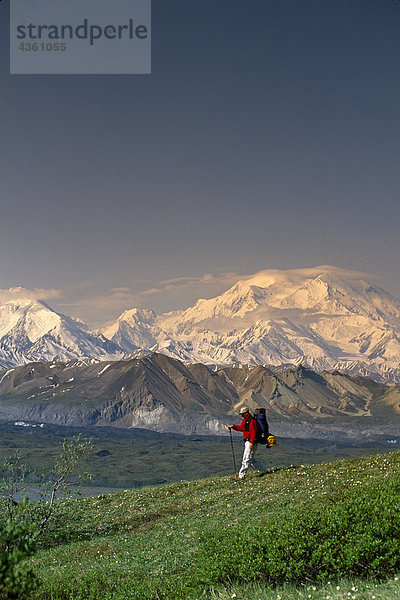 Mann im Hintergrund  Denali National Park  Alaska Interior  Sommer Wandern auf Tundra w / Mt McKinley