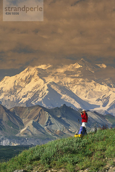 Mann im Hintergrund  Denali National Park  Alaska Interior  Sommer Wandern auf Tundra w / Mt McKinley