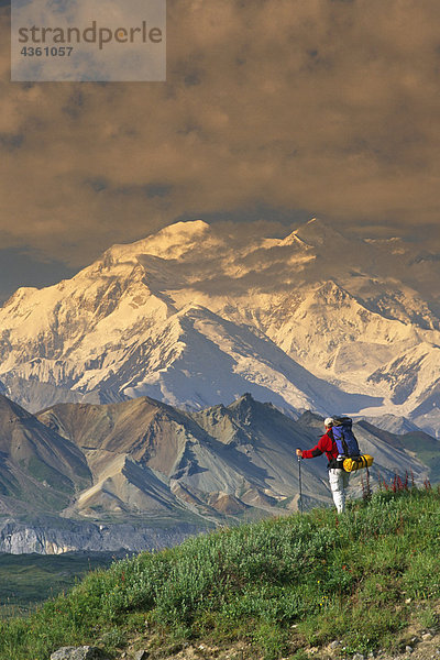 Mann im Hintergrund  Denali National Park  Alaska Interior  Sommer Wandern auf Tundra w / Mt McKinley