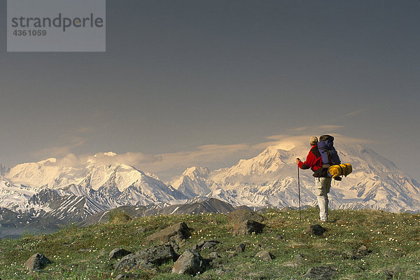 Man wandern auf Tundra w/Mt McKinley Denali NP im AK Sommer