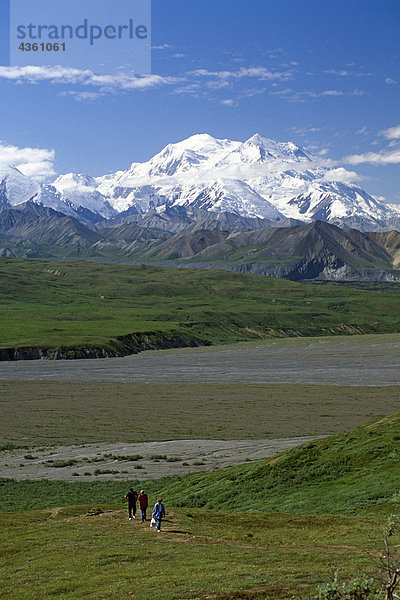 Wander-auf Tundra w/Mt McKinley Denali NP AK im Sommer in der Nähe von Eielson VC