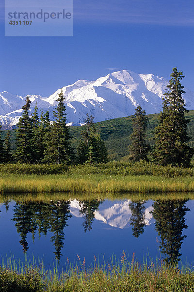 MT McKinley reflektieren in Nugget Teich Denali National Park Inland Alaska Sommer