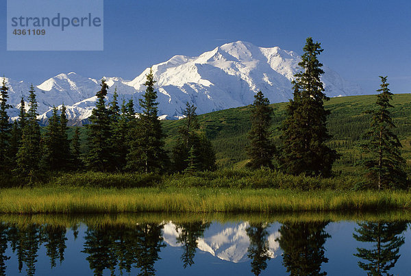 MT McKinley reflektieren in Nugget Teich Denali National Park Inland Alaska Sommer