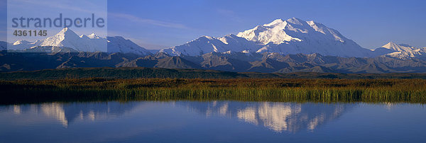 Mt.McKinley spiegelt sich in Teich  Alaska Interior  Herbst