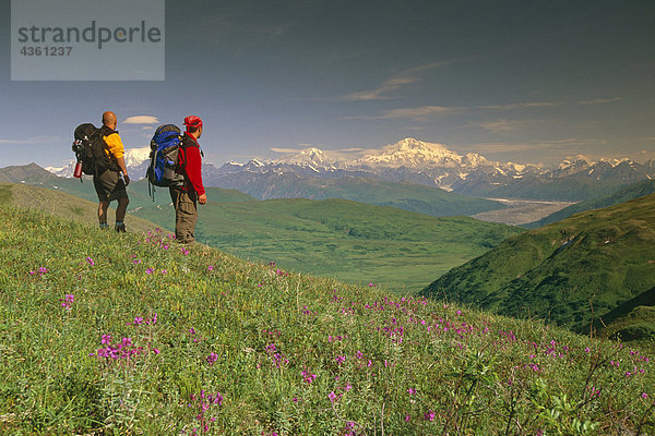 Wanderer auf Tundra im Denali State Park SC Alaska Sommer w/Mt McKinley Hintergrund