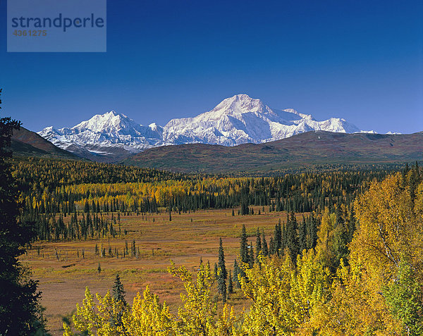 MT Mckinley gesehen von Petersville SC Alaska