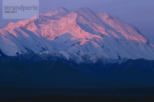 Alpenglühen leuchtet auf Mount Mckinley @ Dawn  Denali-Nationalpark in Alaska Sommer