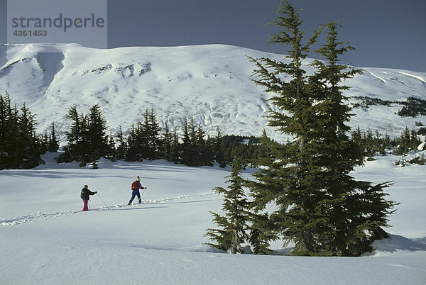 Langlauf Skifahrer Turnagain Pass Alaska