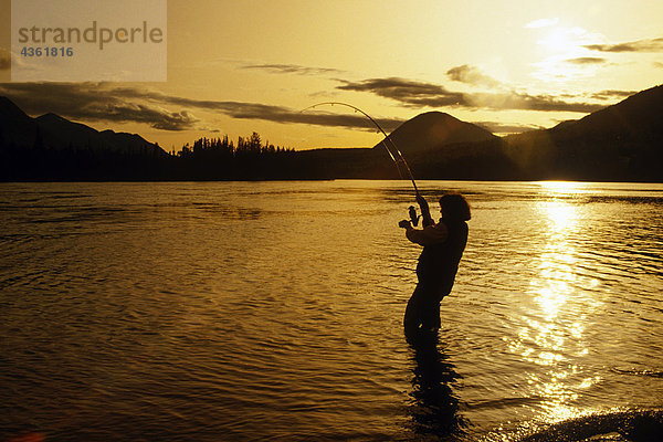 Frau Kokons im Kenai Lachsfluss Sonnenuntergang KP AK