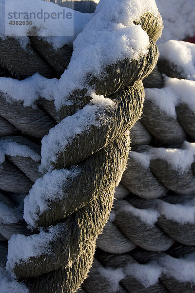 spiralförmig  spiralig  Spirale  Spiralen  spiralförmiges   Winter  Seil  Tau  Close-up  close-ups  close up  close ups  angeln  aufbewahren  Kenai-Fjords-Nationalpark  Alaska  verkrustet  Halbinsel  Schnee