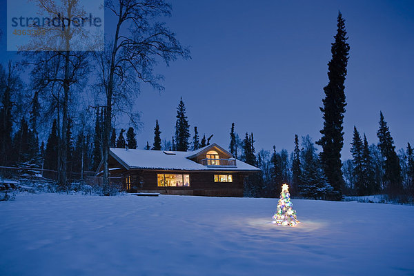 Außenaufnahme beleuchtet Winter Wohnhaus Weihnachtsbaum Tannenbaum Schnee Dämmerung