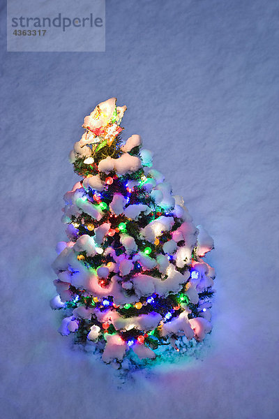Draufsicht eines kleinen beleuchteten Weihnachtsbaum in der Abenddämmerung im winter
