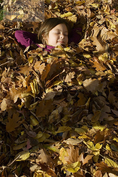 Eichenblatt Haufen Sonnenstrahl unterhalb schlafen Herbst Rechen jung Mädchen