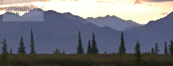 Sonnenuntergang über der Alaskakette in der Nähe von Mile 7 der Park-Straße im Denali-Nationalpark und Schutzgebiet  Alaska Interior  Sommer