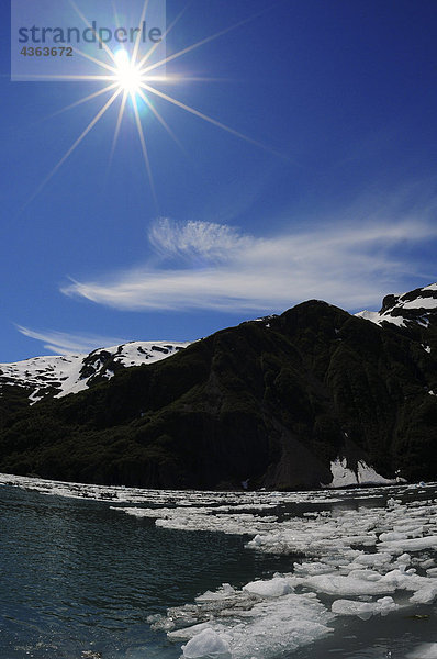 Eisberge von Überraschung Gletscher versammeln sich in Harriman Fjord  Prince William Sound  Alaska