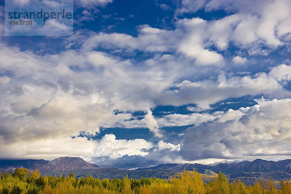 Blick von der Chugach Mountains östlich von Anchorage mit Herbst Laub im Vordergrund  South Central Alaska