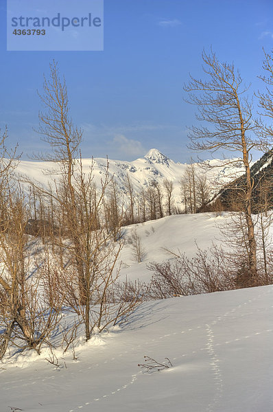 Szenische Ansicht der Portage Tal im Winter  South Central Alaska