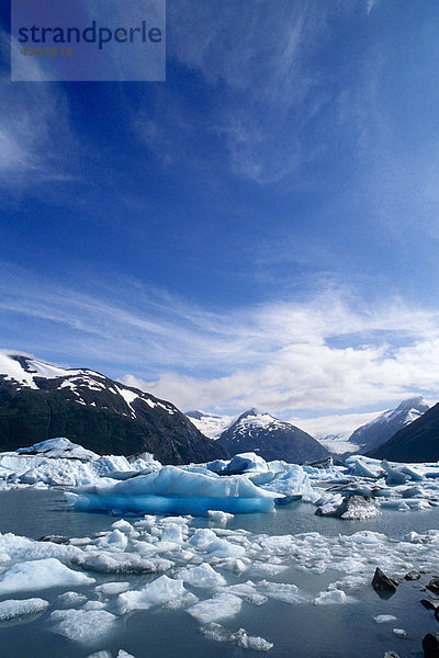 Eisberge Portage Lake Portage-Gletscher SC AK