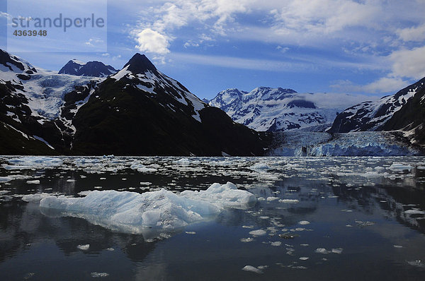 Szenische Ansicht der Überraschung Gletscher im Prince William Sound  Alaska
